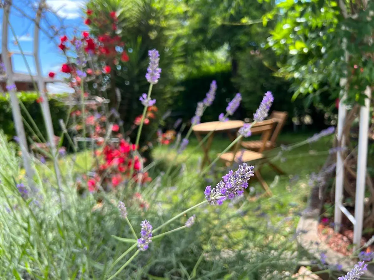Pensionat Guesthouse Villa Stanger 2 Lovran